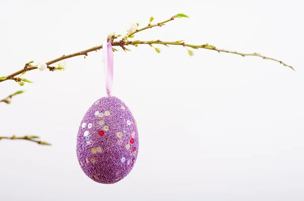 Easter egg on a branch. — Stock Photo, Image