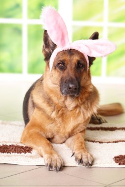 Easter bunny dog clipart