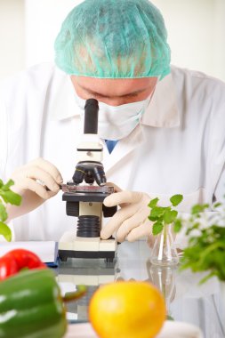 Researcher holding up a GMO vegetable in the laboratory clipart