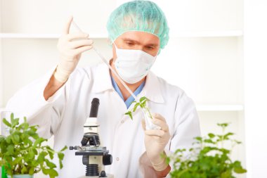 Researcher holding up a GMO plant in the laboratory clipart