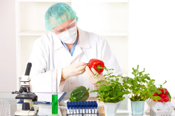Researcher holding up a GMO vegetable in the laboratory — Stock Photo, Image