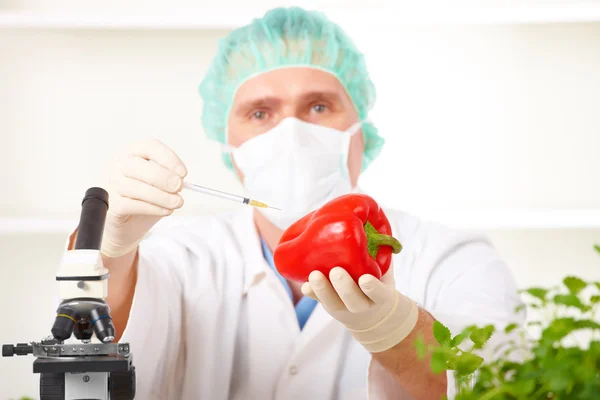 Researcher holding up a GMO vegetable in the laboratory — Stock Photo, Image
