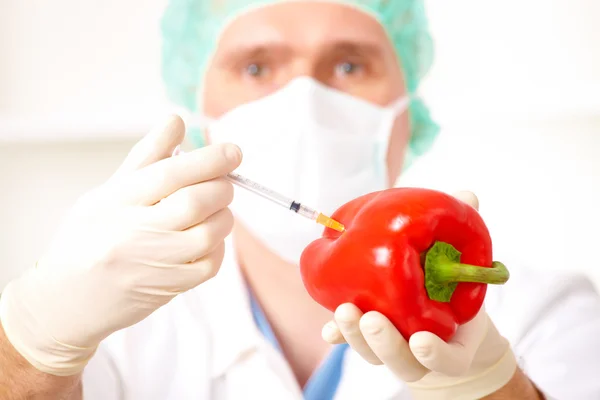Chercheur tenant un légume OGM en laboratoire — Photo