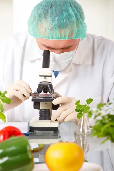 Forskare håller upp en gmo grönsak i laboratoriet — Stockfoto