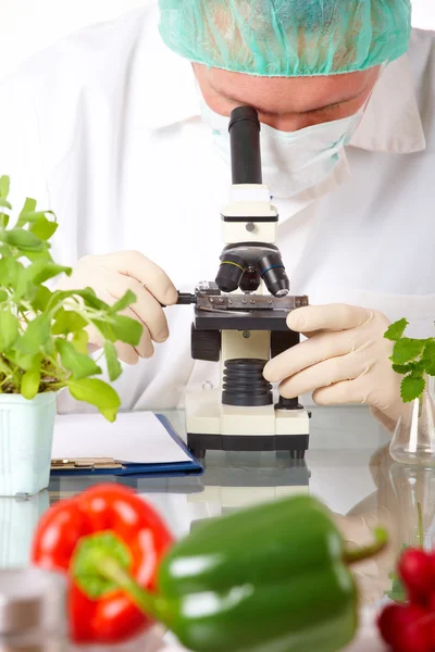 実験室で遺伝子組み換え野菜を持つ研究者 — ストック写真