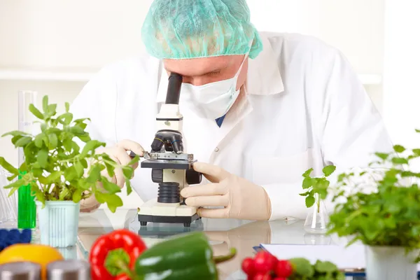 Ricercatore al microscopio con verdure OGM in laboratorio — Foto Stock