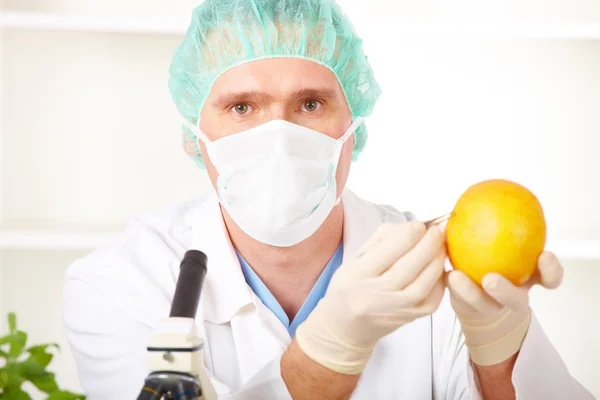 Ricercatore che tiene un vegetale OGM in laboratorio — Foto Stock