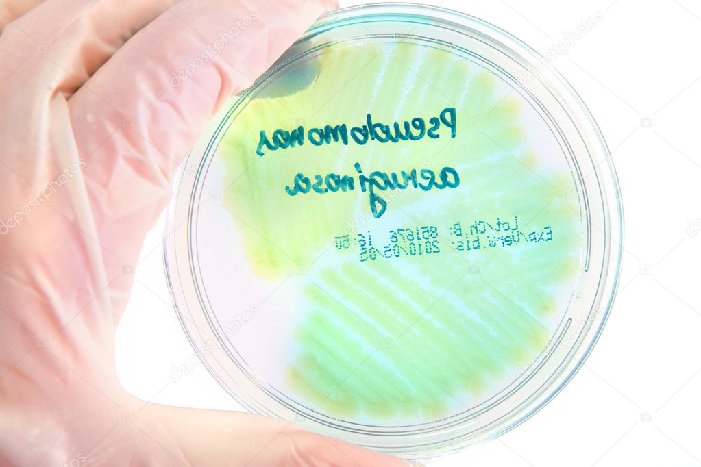 Pathological bacteria