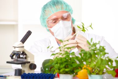 Researcher holding up a GMO vegetable in the laboratory clipart