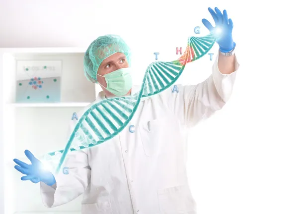 Researcher holding up a DNA strand in the laboratory — Stock Photo, Image