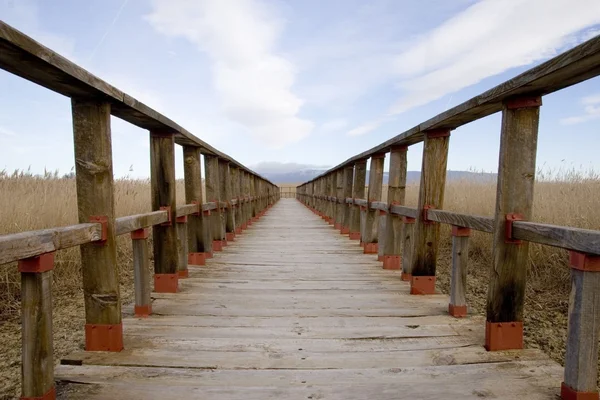 stock image Natural park 