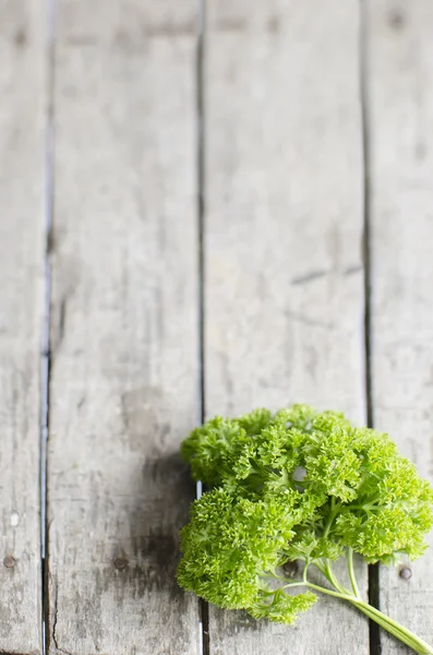 Salsa verde — Fotografia de Stock