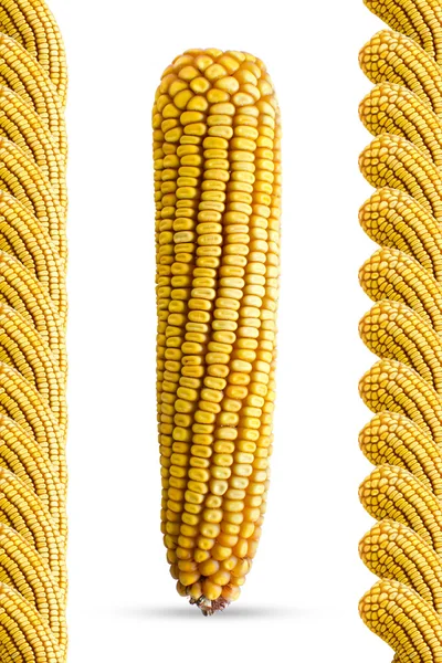 玉米帧 — 图库照片