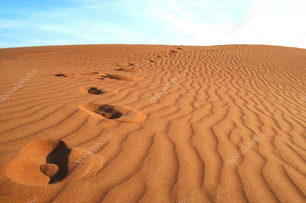Footprints on Golden Sands