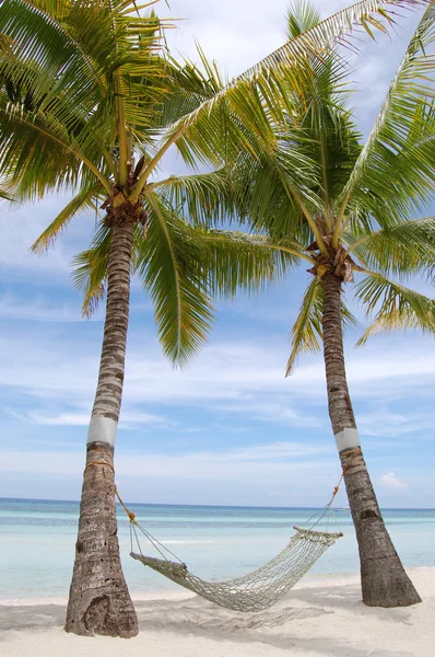 Kokospalme mit Hängematte am weißen Strand — Stockfoto