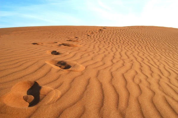 Fotspår i den gyllene sanden — Stockfoto