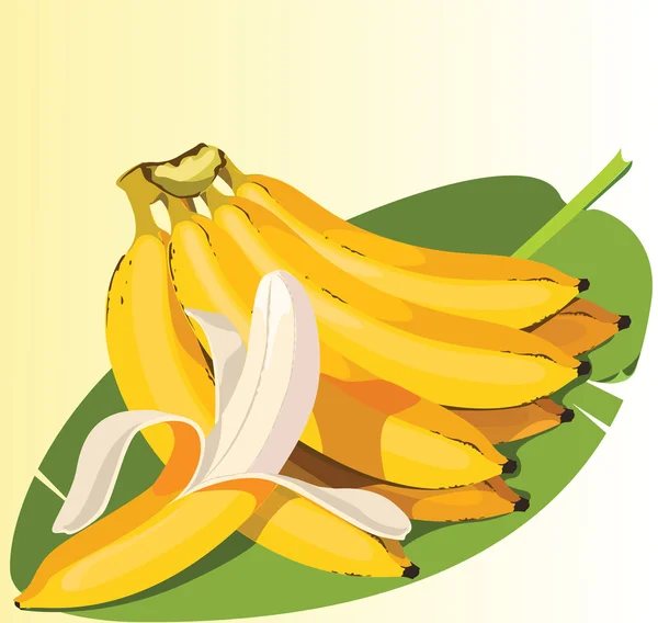 Ilustración de Plátano maduro — Vector de stock