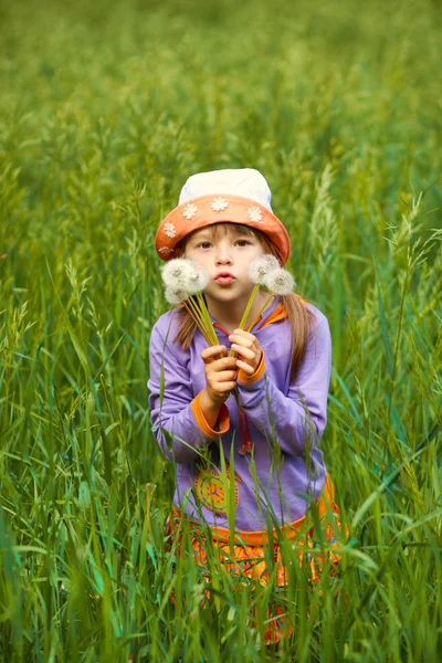 Little girl looking through the dandelions — Stock Photo, Image