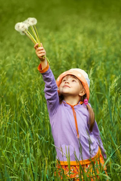 Little girl with puffy dandelions in your hand — Stock Photo, Image