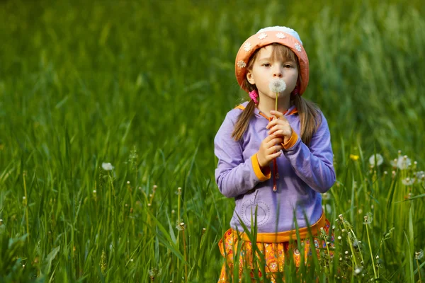 Girl with a dandelion in the hands of — Stock Photo, Image