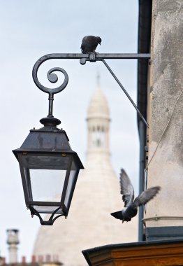 Montmartre pigeons clipart