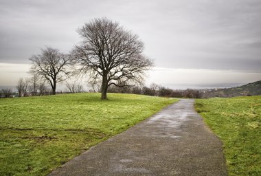 Park with trees in Edinburgh clipart