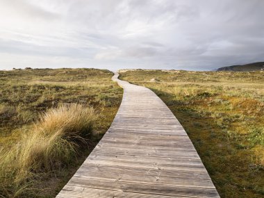 Wooden footbridge in a meadow clipart