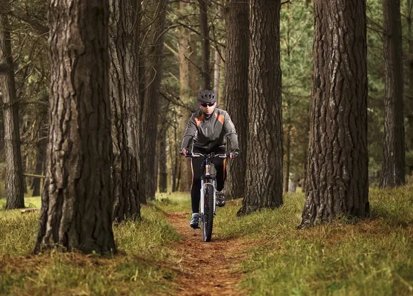 Человек, практикующий горный велосипед в лесу — стоковое фото