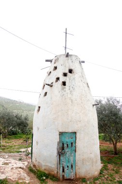 Yaşlı kuş evi - Ürdün