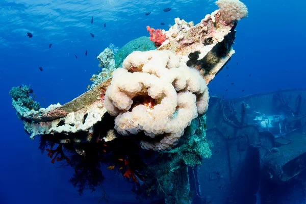 Interesante parte de un naufragio bajo el agua —  Fotos de Stock