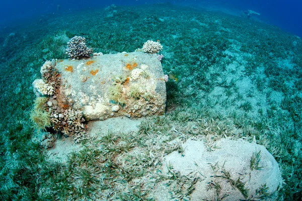 Zvláštní rezavý Sud našel pod vodou, v moři — Stock fotografie