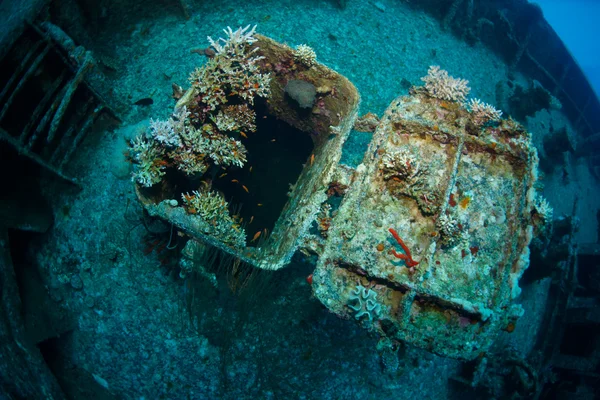 Parte interessante de um naufrágio subaquático Fotografia De Stock