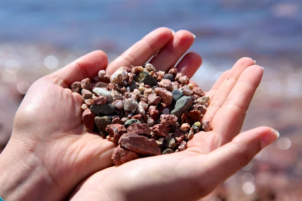 stock image Hands holding stones & pebbels at beach