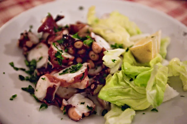 stock image Octopus salad