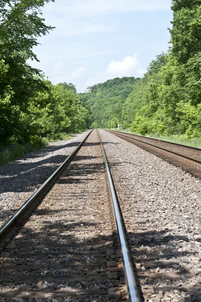 Train tracks through the woods — Stock Photo, Image