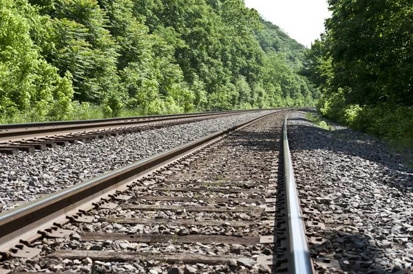 stock image Train tracks through the woods