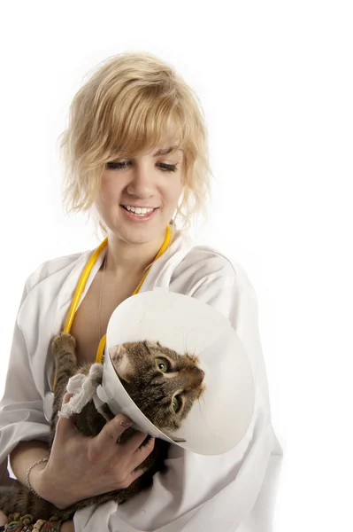 Mladý lékař a kočka — Stock fotografie