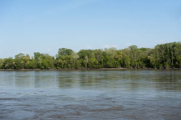 Scena del fiume Mississippi Immagine Stock