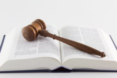 Gavel atop Legal Text clipart