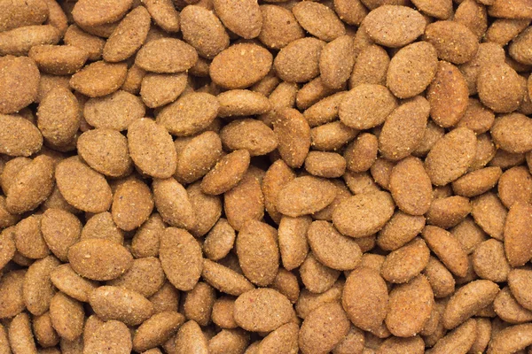 Dry Dog Food — Stock Photo, Image