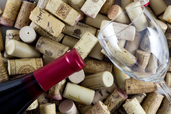 Wine Bottle Corks — Stock Photo, Image