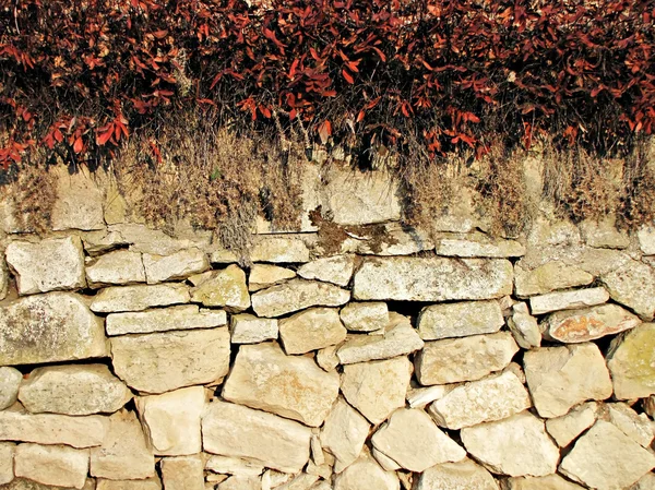 Fondo otoñal de muro de piedra — Foto de Stock