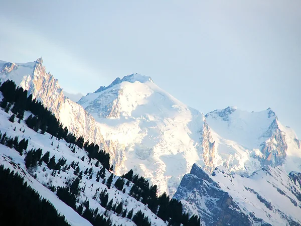 Der Mont Blanc — Stockfoto
