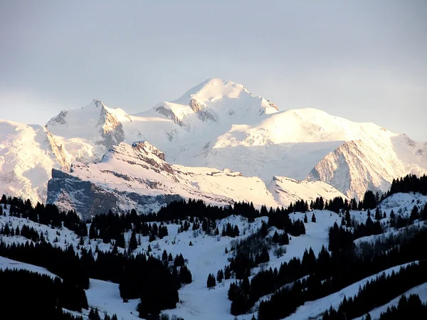 stock image Mont Blanc