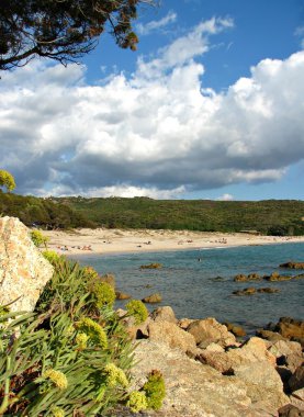 Campomoro, Corsica beach clipart