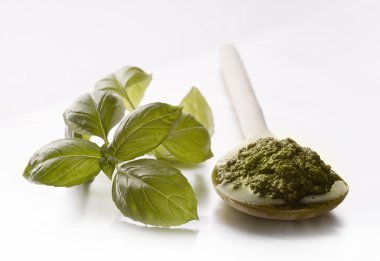 pesto sos ve taze fesleğen