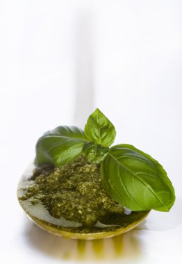 pesto sos ve taze fesleğen