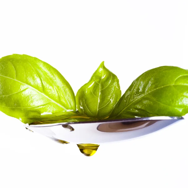 Basil leaves — Stock Photo, Image