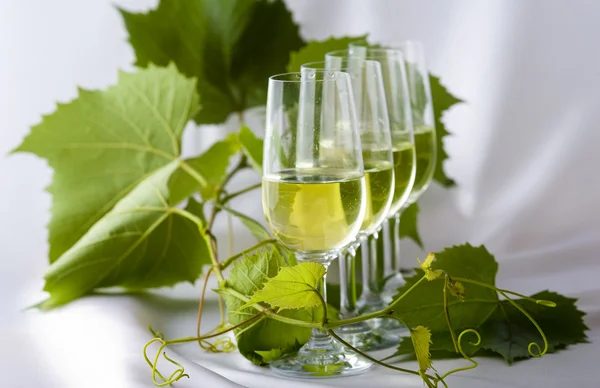 Witte wijn in de glazen — Stockfoto