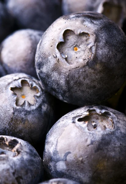 Blueberries - closeup — Stock Photo, Image
